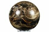 Polished Black Opal Sphere - Madagascar #277853-1